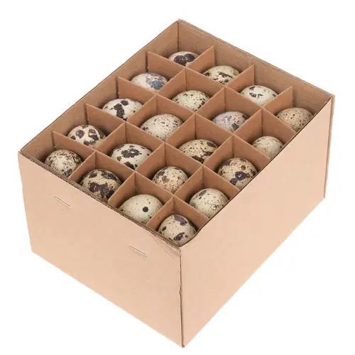 Wachtelei naturel D02cm H03cm 60st