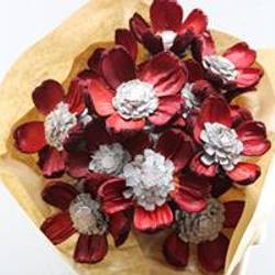 Trocken Zapfenblumen auf Stab rot/weiss L55cm x15