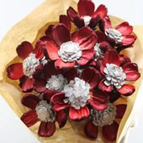 Trocken Zapfenblumen auf Stab rot/weiss L55cm x15