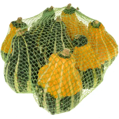 Zierkürbis dunkel grün/orange Birne Im Netz 12cm