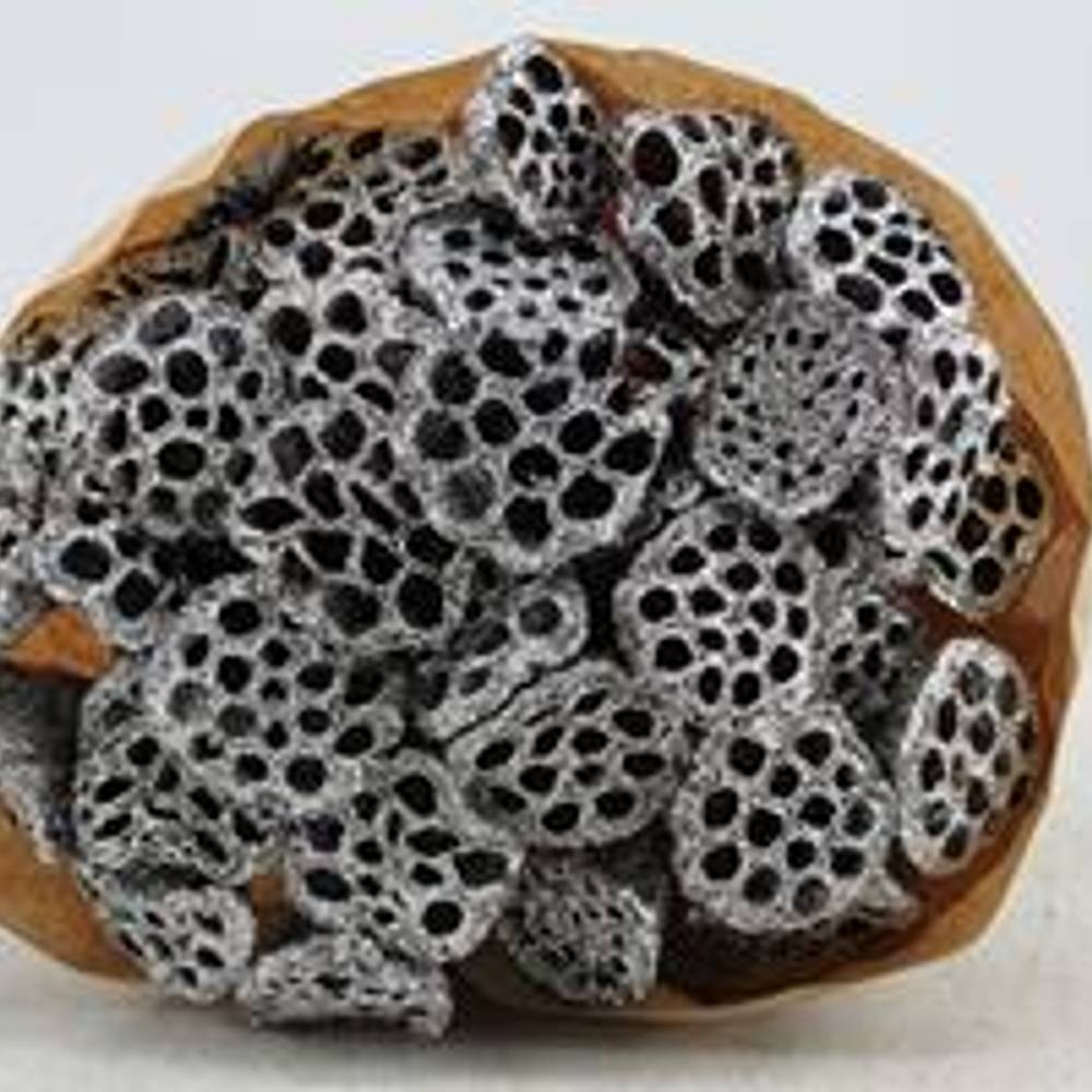 Trocken Lotus auf Stab silber L55cm x40