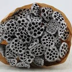 Trocken Lotus auf Stab silber L55cm x40