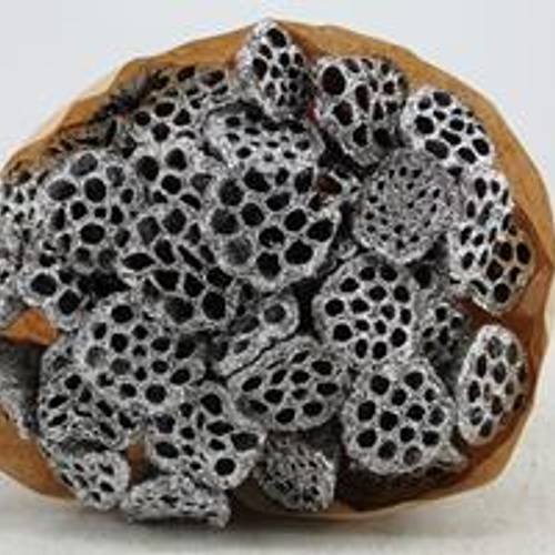 Trocken Lotus auf Stab silber L55cm x40