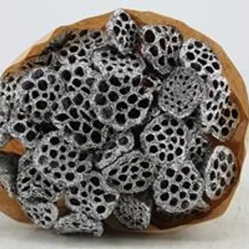 Trocken Lotus auf Stab silber L55cm x40