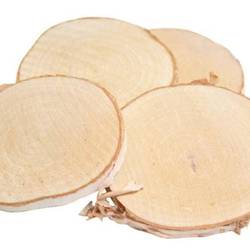 Trocken Birke Scheibe D08/09cm x10