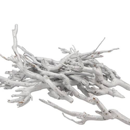 Curry Bush weiss pro 500gr