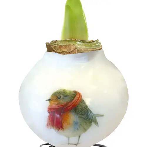 Amar.Bol Wachs Rotkehlchen rote Bl. 30cm H022