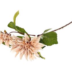 Seiden Dahlia Karma creme L71cm