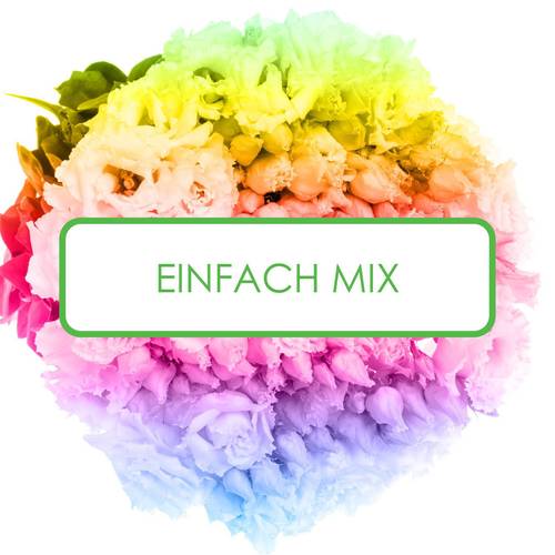 Lisianthus mix Einfach 3x10 5+Blüte 70cm