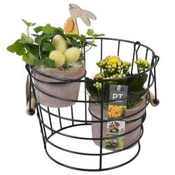 Kal.Arr PTPB6593 Ostern T23 H031