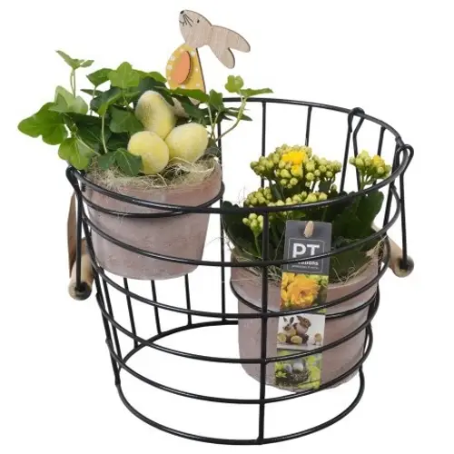 Kal.Arr PTPB6593 Ostern T23 H031