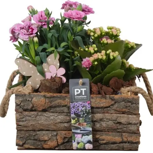 Garten.Arr PTPP6992 T20 H022