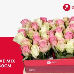 Rose mix Love 40cm