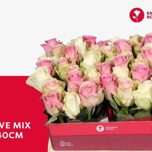 Rose mix Love 40cm