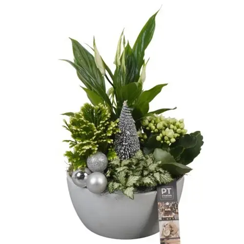 Kal.Arr PTCHW4305 Weihnachten T18 H031