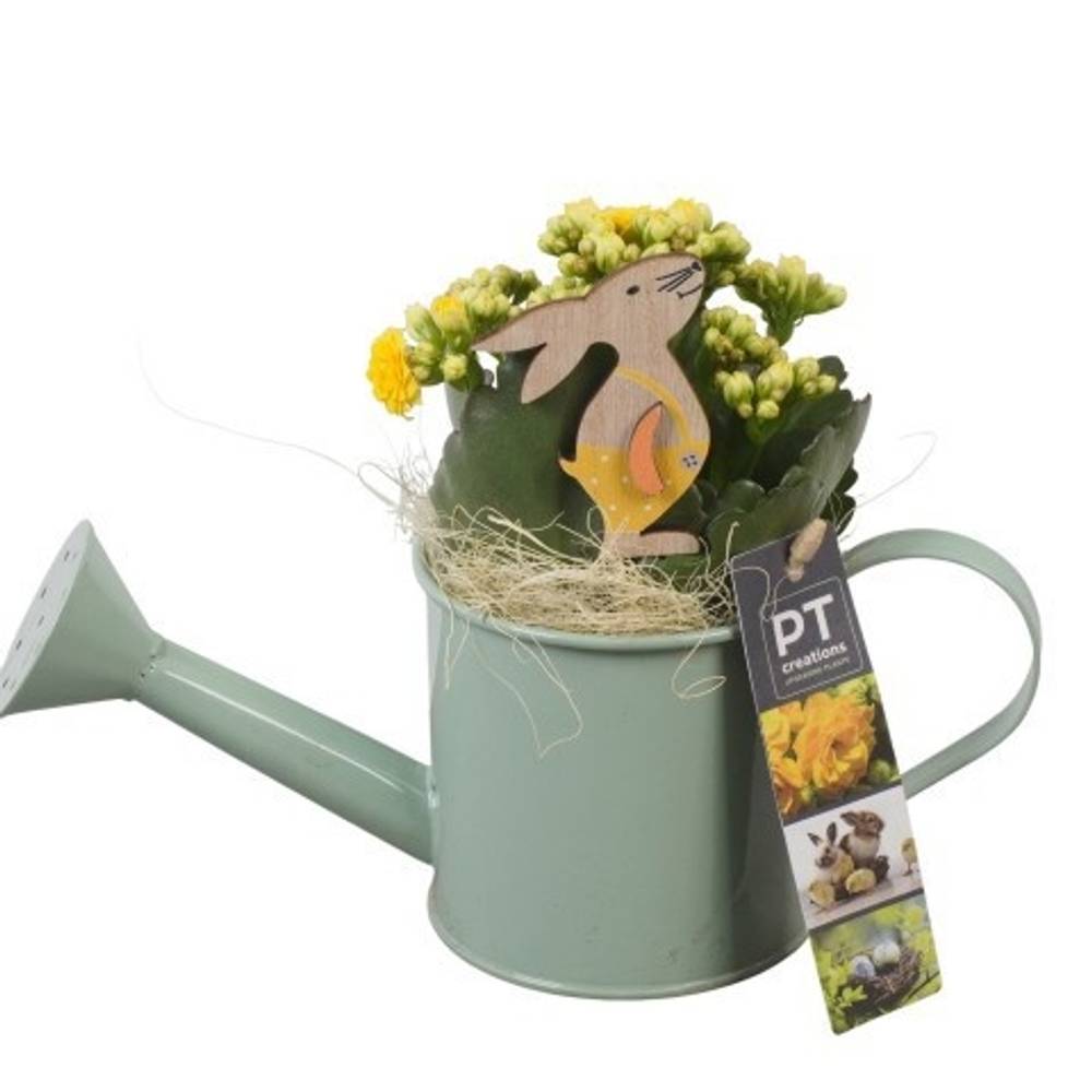 Kal.Arr PTPB6430 Ostern T09 H019
