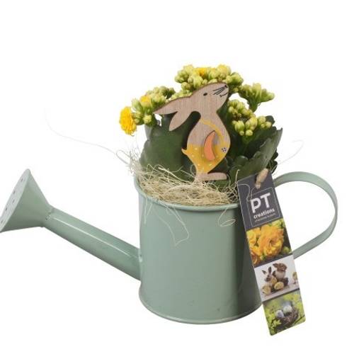 Kal.Arr PTPB6430 Ostern T09 H019