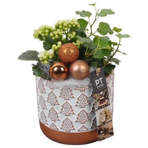 Kal.Arr PTCHB9765 Weihnachten T13 H019