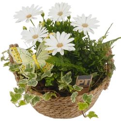 Garten Arr3801 T20 H22