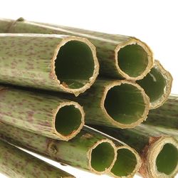 Polygonum grün 70cm