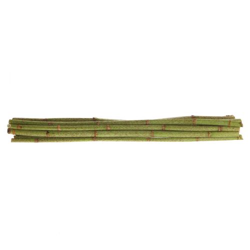 Polygonum grün 70cm