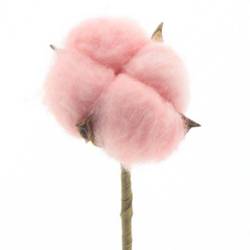 Trocken Baumwolle auf Stab rosa 50cm 4cm