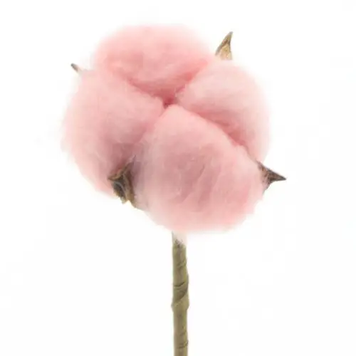 Trocken Baumwolle auf Stab rosa 50cm 4cm