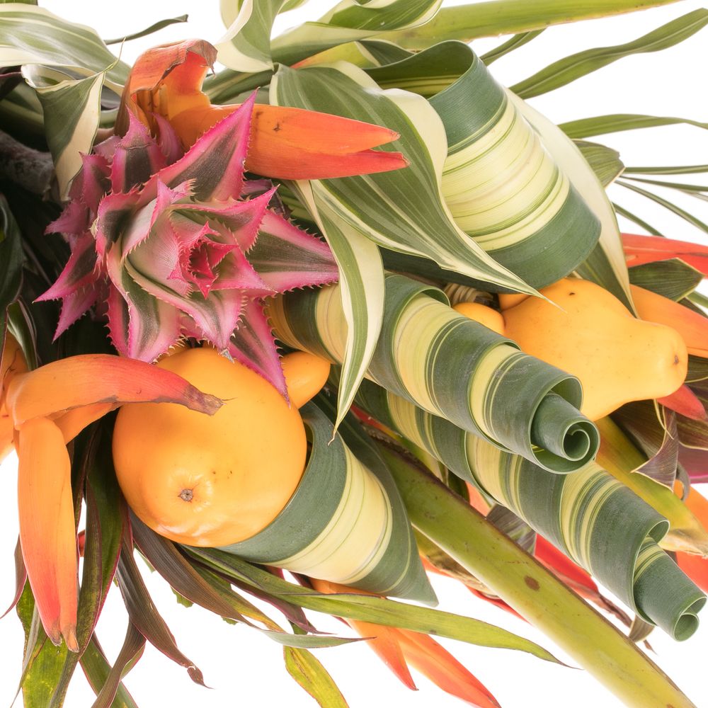 Heliconia Strauß Bamba 50cm