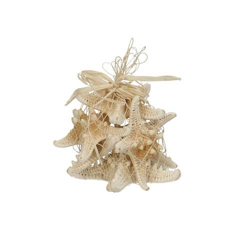 Muscheln Seestern D08cm 5st Knobby Gebl