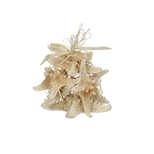 Muscheln Seestern D08cm 5st Knobby Gebl