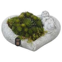 Semper.Arr PTAH3016 Allerheiligen T20 H009