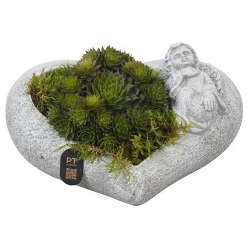 Semper.Arr PTAH3016 Allerheiligen T20 H009
