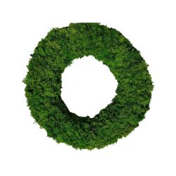 Kranz grün dunkel Rentiermoos D40cm