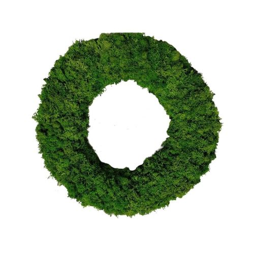 Kranz grün dunkel Rentiermoos D40cm