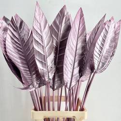 Strelitzia Blatt hell rosa gefärbt 95cm