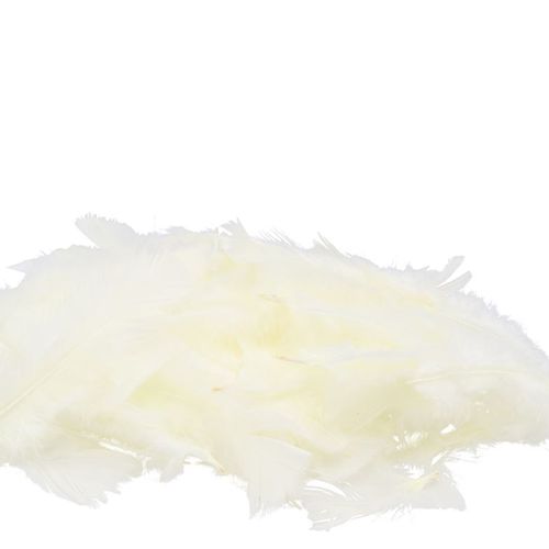 Truthahnfedern creme 45gr