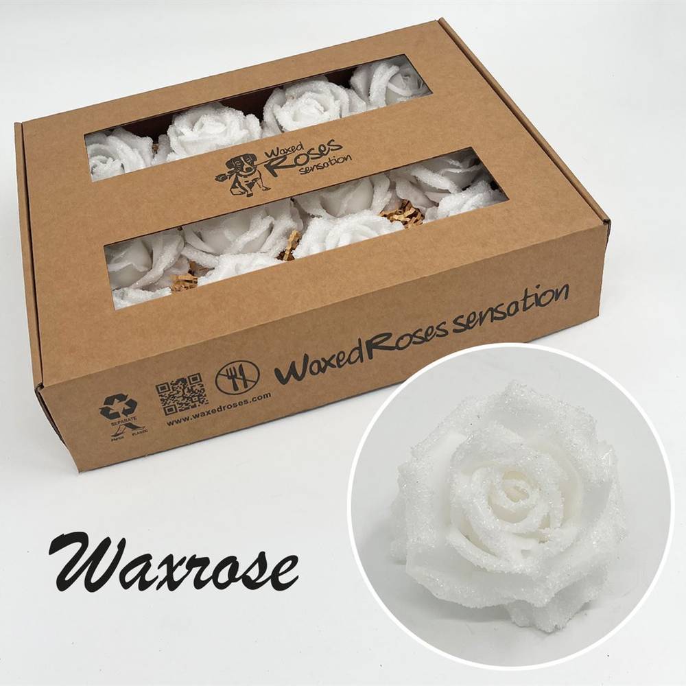 Seiden Wachs Rose eisig weiss
