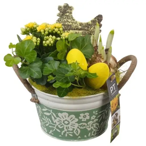 Kal.Arr PTPB6442 Ostern T15 H020