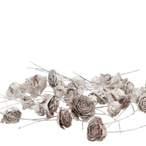 Zederrose auf Draht weiss x50