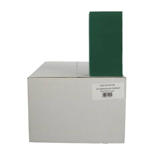 Ziegel 20x10x7.5cm x20