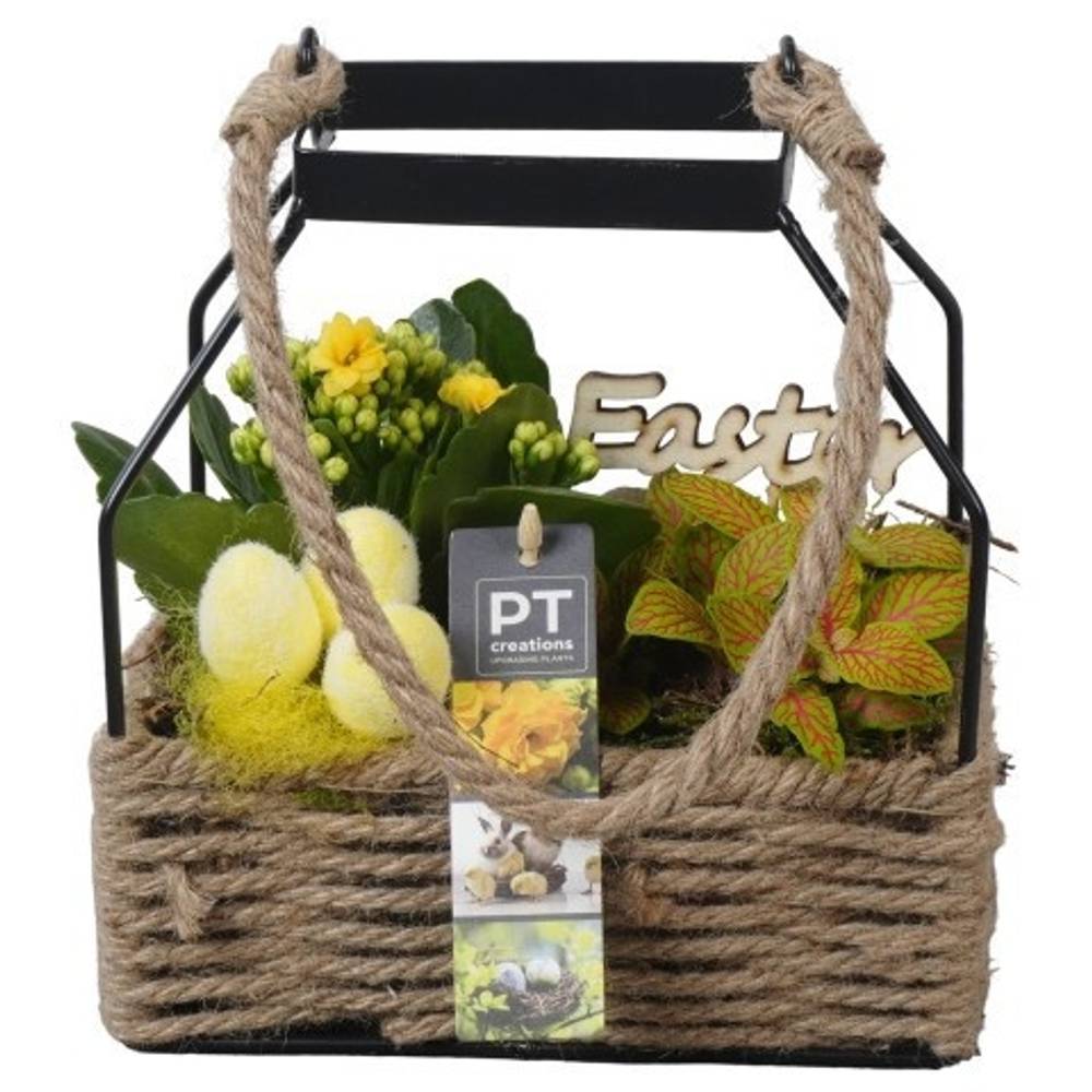 Kal.Arr PTPB6572 Ostern T18 H023