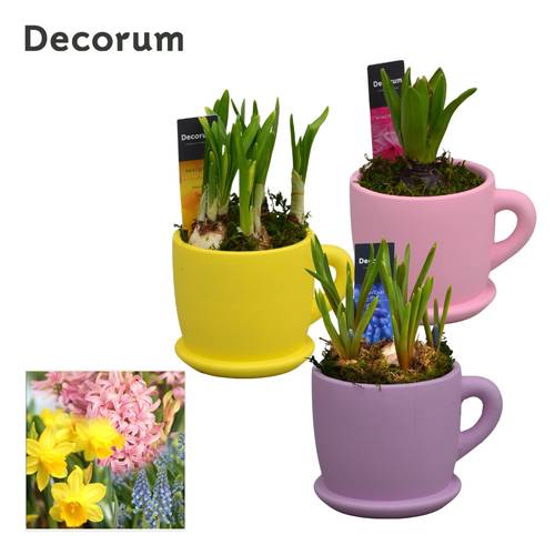 Zwiebel mix im Keramik Tasche HL15283B T10 H018