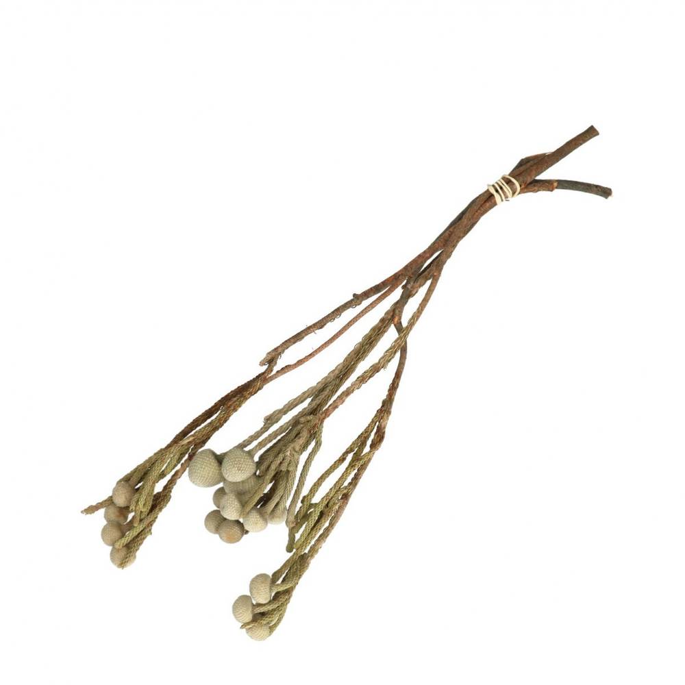 Trocken Brunia  weiss L40cm x3