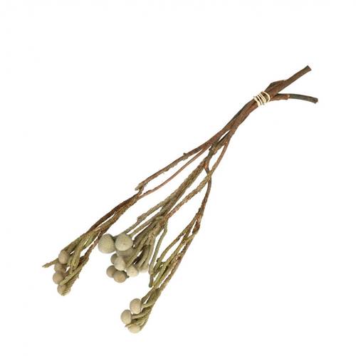 Trocken Brunia  weiss L40cm x3