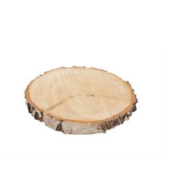 Trocken Birke Scheibe D14cm