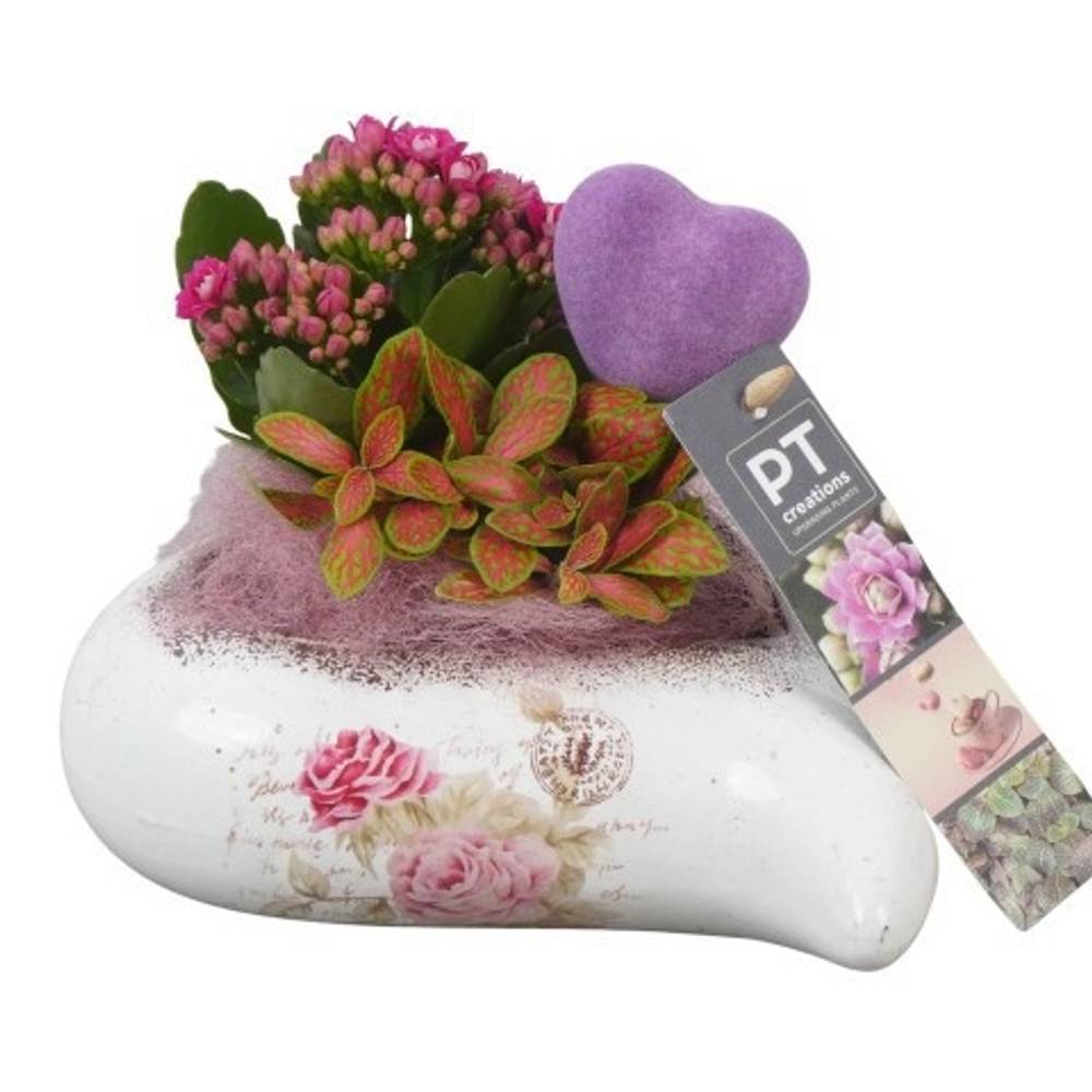 Kal.Arr PTVMB2273 T17 H016