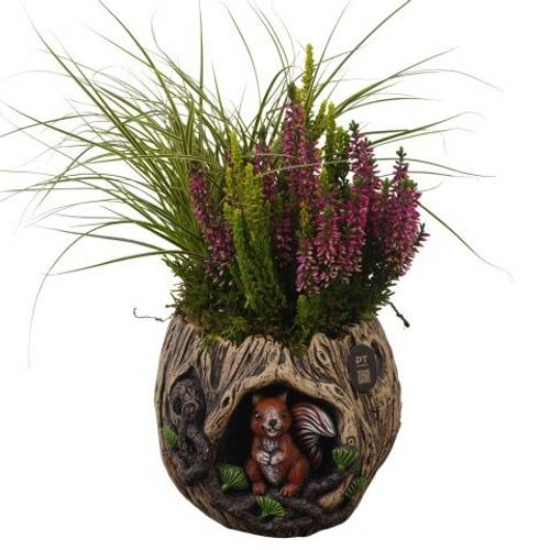 Garten.Arr PTHO7713 Herbst T17 H032