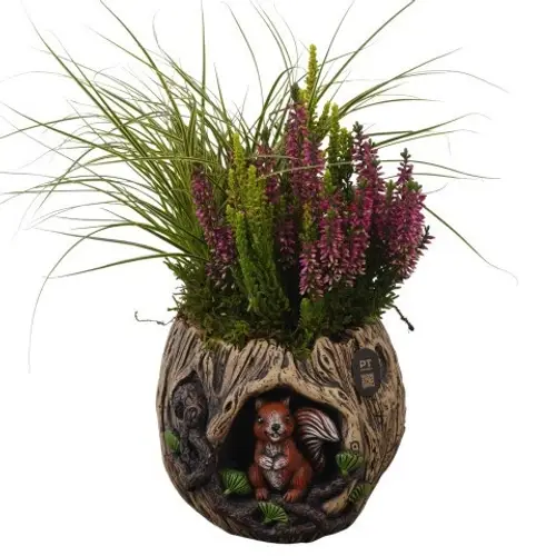 Garten.Arr PTHO7713 Herbst T17 H032