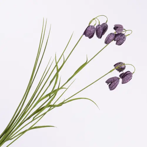 Seiden Schachbrettblume lila L70cm