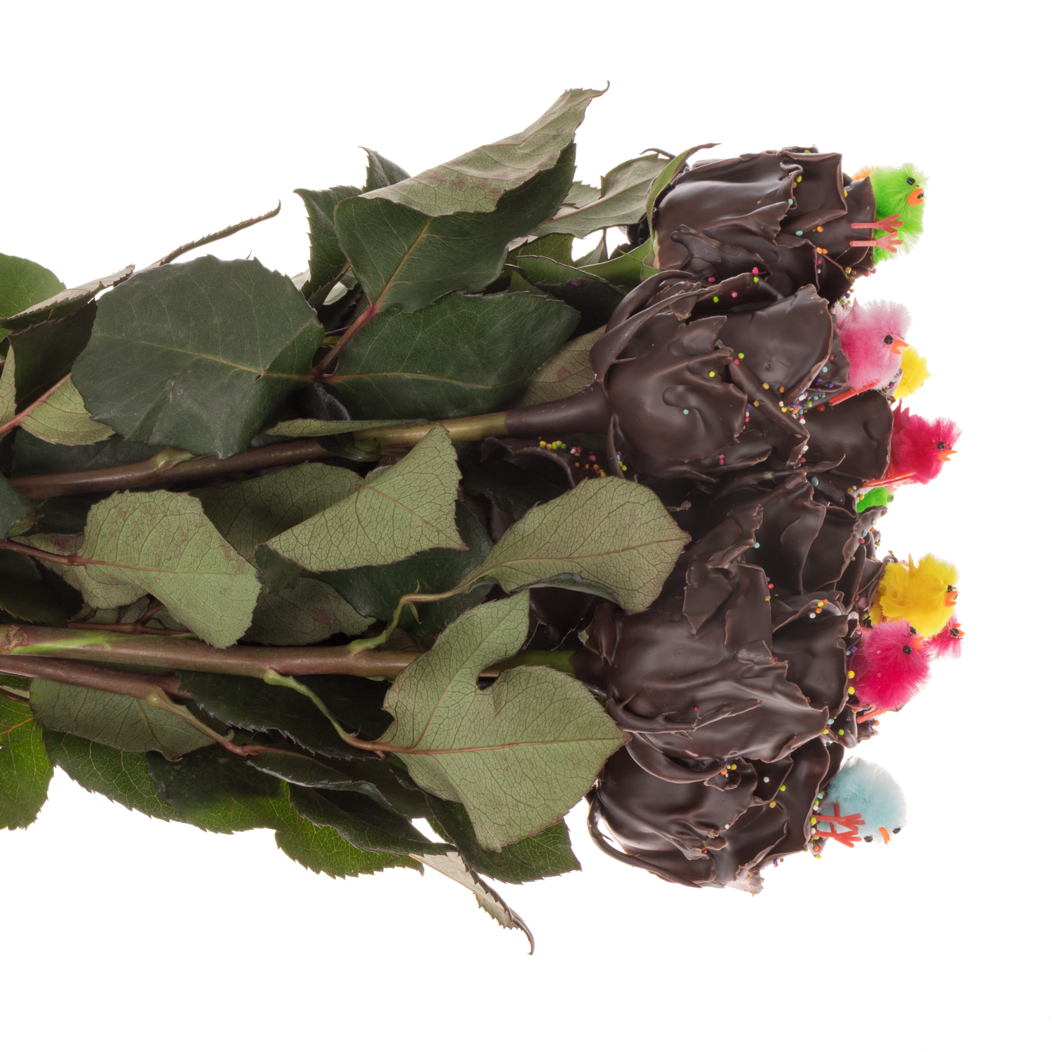 Rose wachs braun Choco mix Chicken 70cm duftend